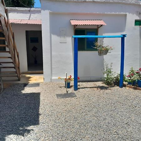 Hostal Paloma Cafe 帕洛米诺 外观 照片