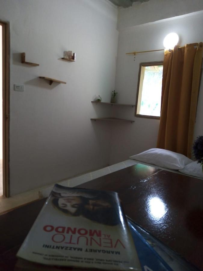 Hostal Paloma Cafe 帕洛米诺 外观 照片