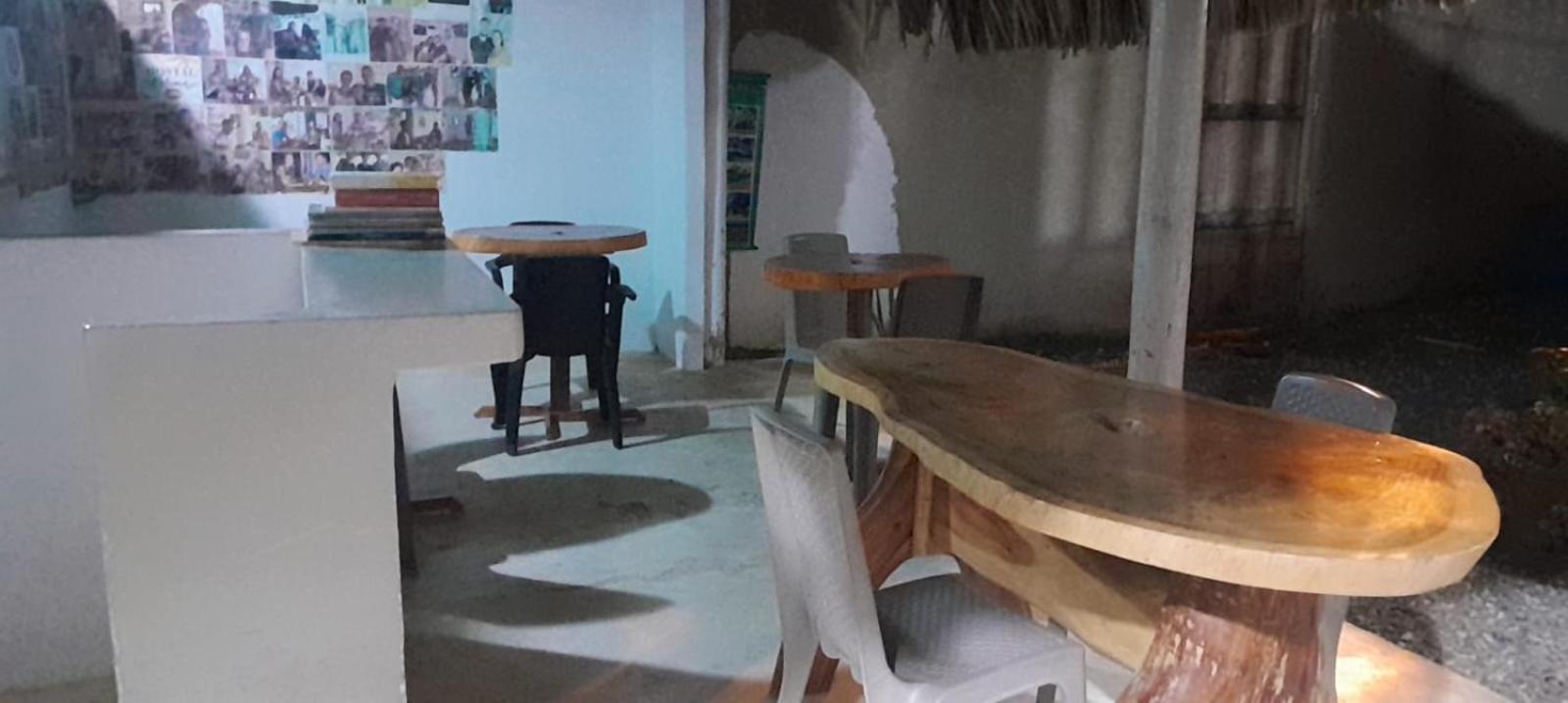 Hostal Paloma Cafe 帕洛米诺 外观 照片