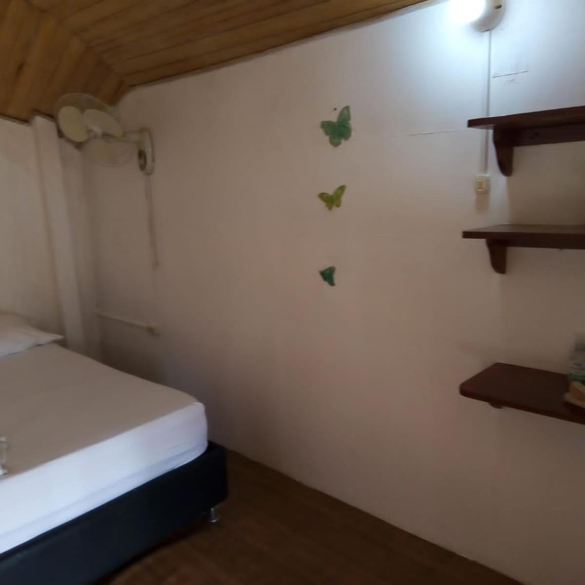 Hostal Paloma Cafe 帕洛米诺 外观 照片