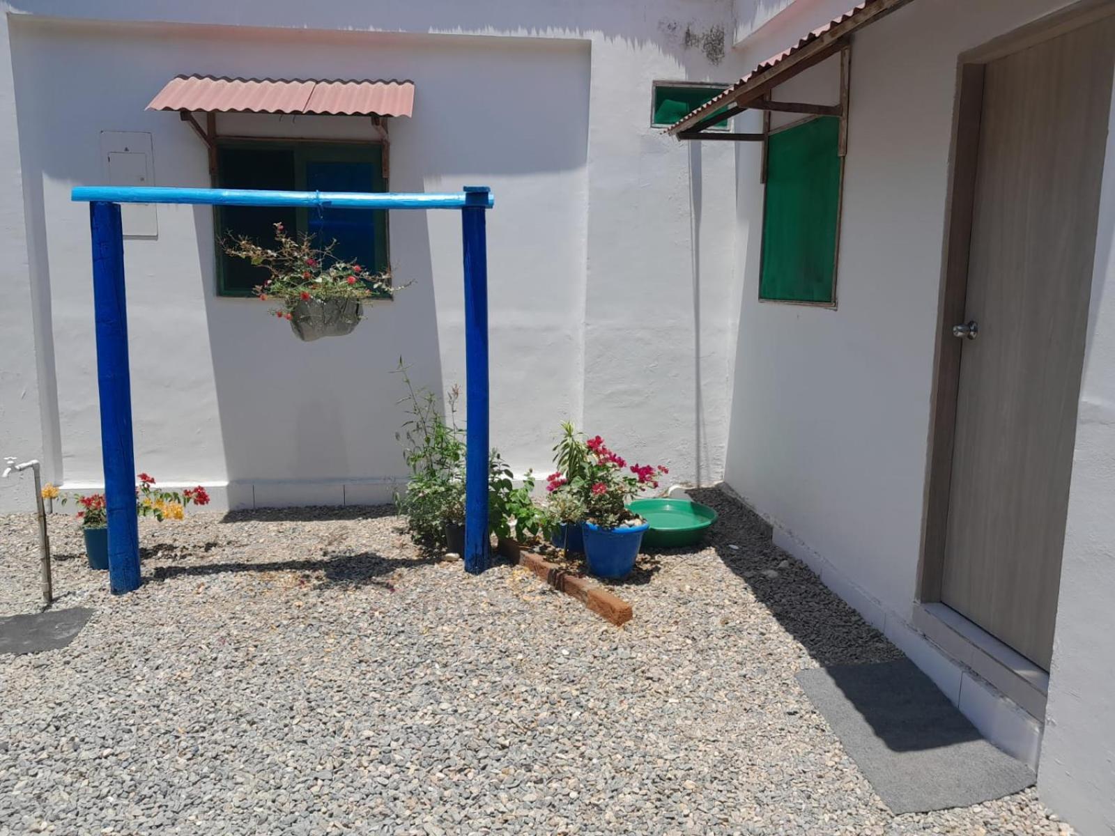 Hostal Paloma Cafe 帕洛米诺 外观 照片